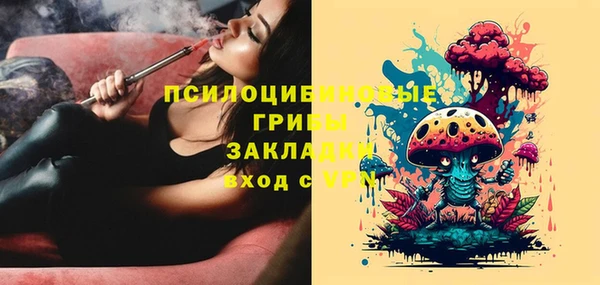 гидра Алексеевка