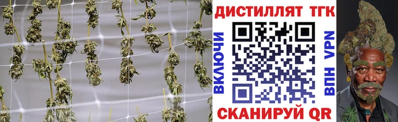 ТГК концентрат  Борзя 
