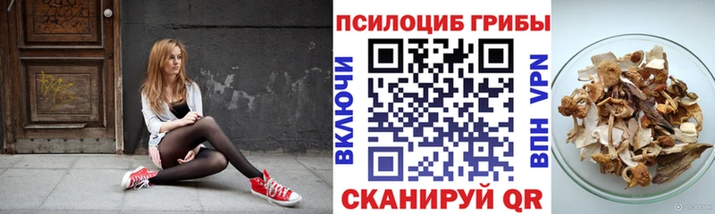 Псилоцибиновые грибы GOLDEN TEACHER Борзя