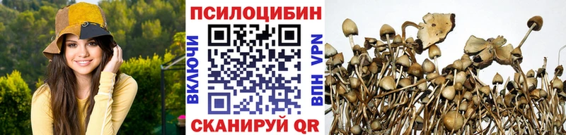 купить наркотик  Борзя  Псилоцибиновые грибы ЛСД 